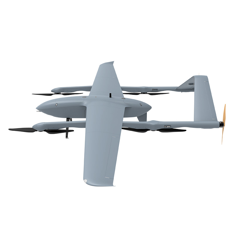 Sky Whale Max Electric - Image 4
